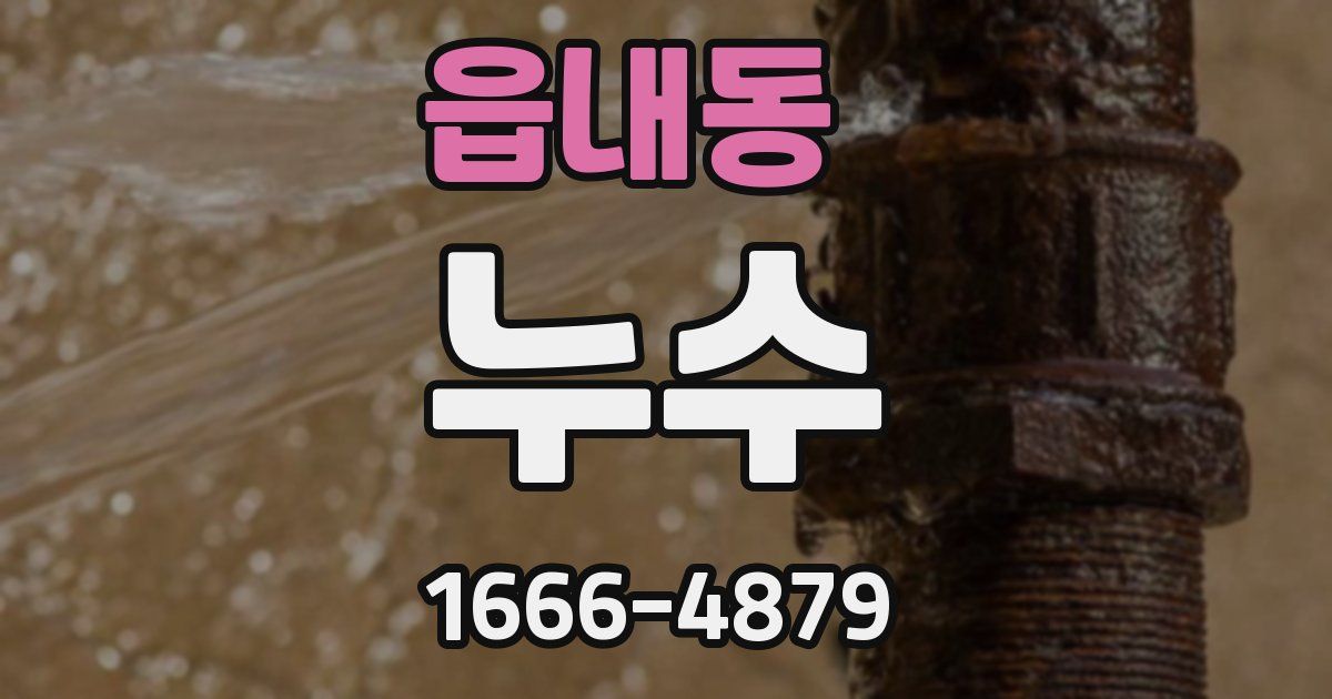 읍내동 누수