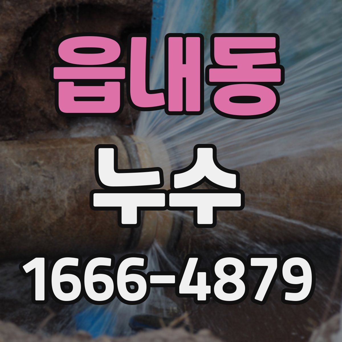 읍내동 누수