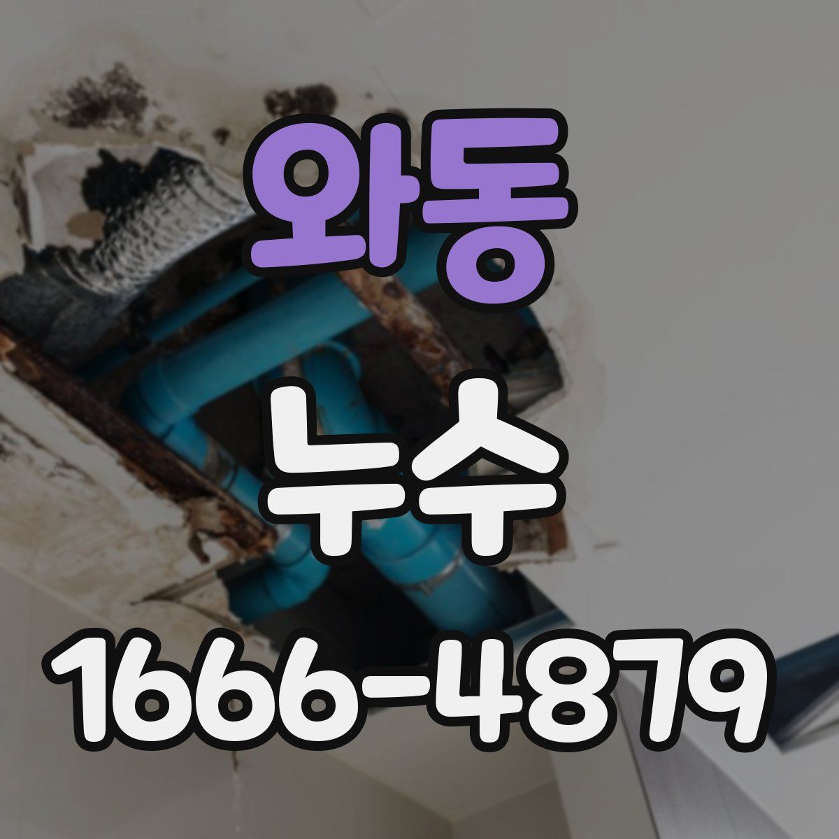 와동 누수