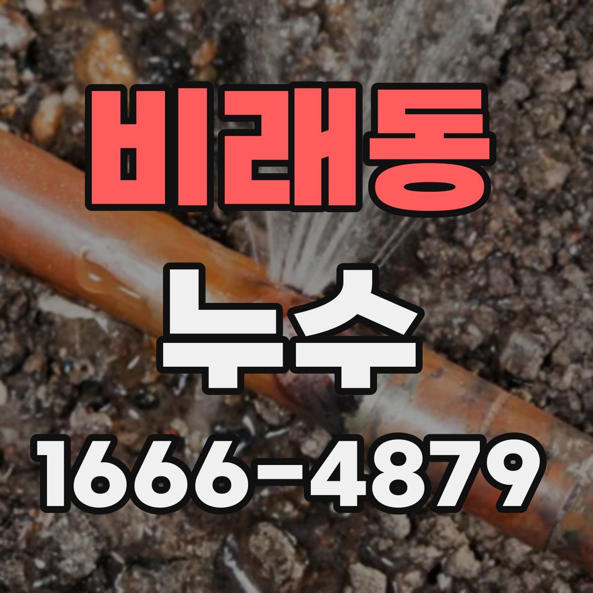 비래동 누수