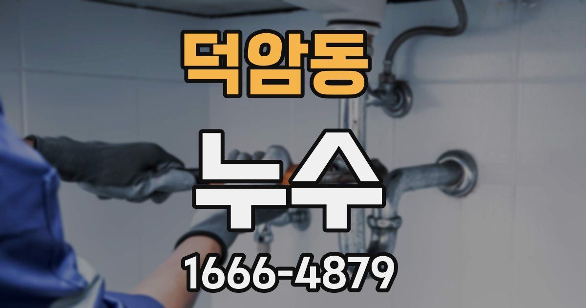 덕암동 누수