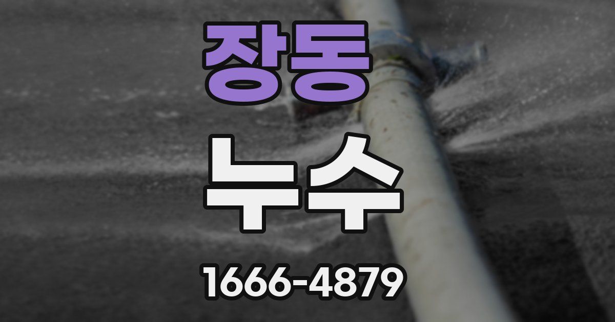 장동 누수