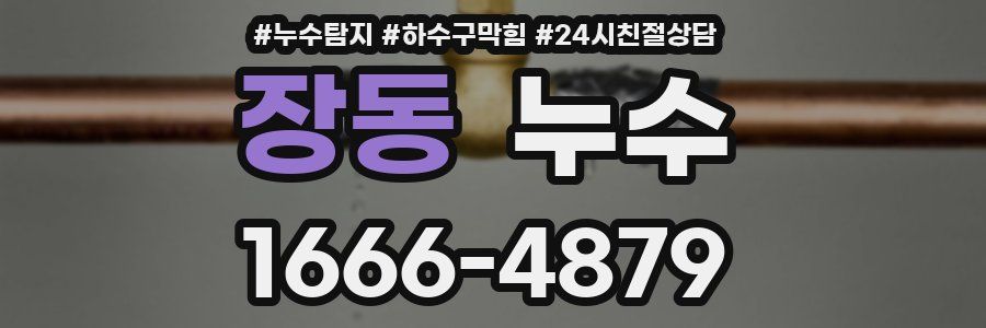 장동 누수