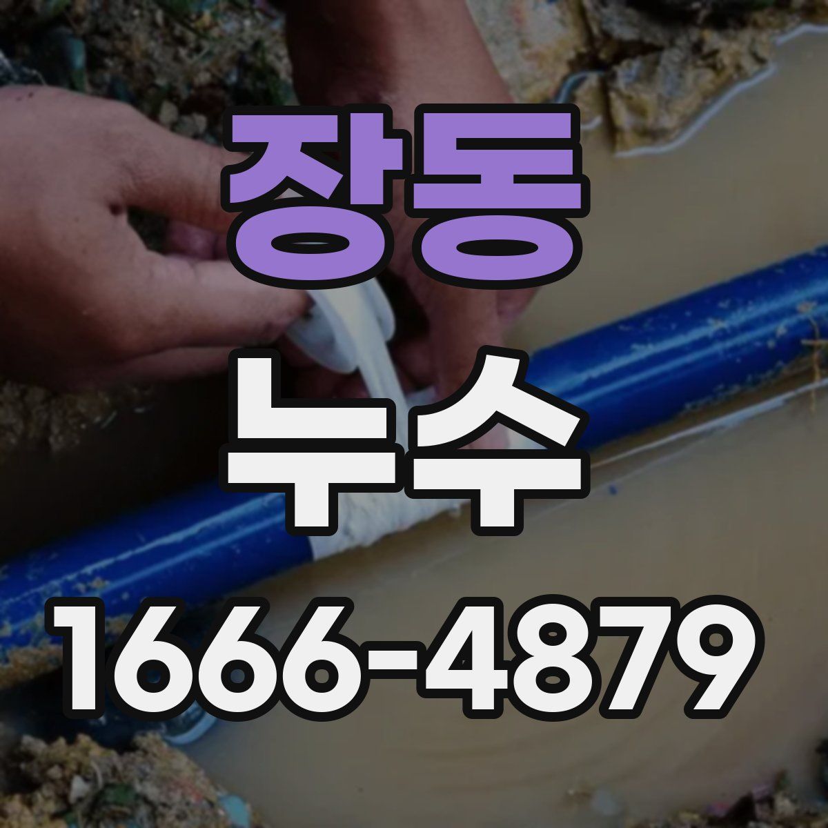 장동 누수