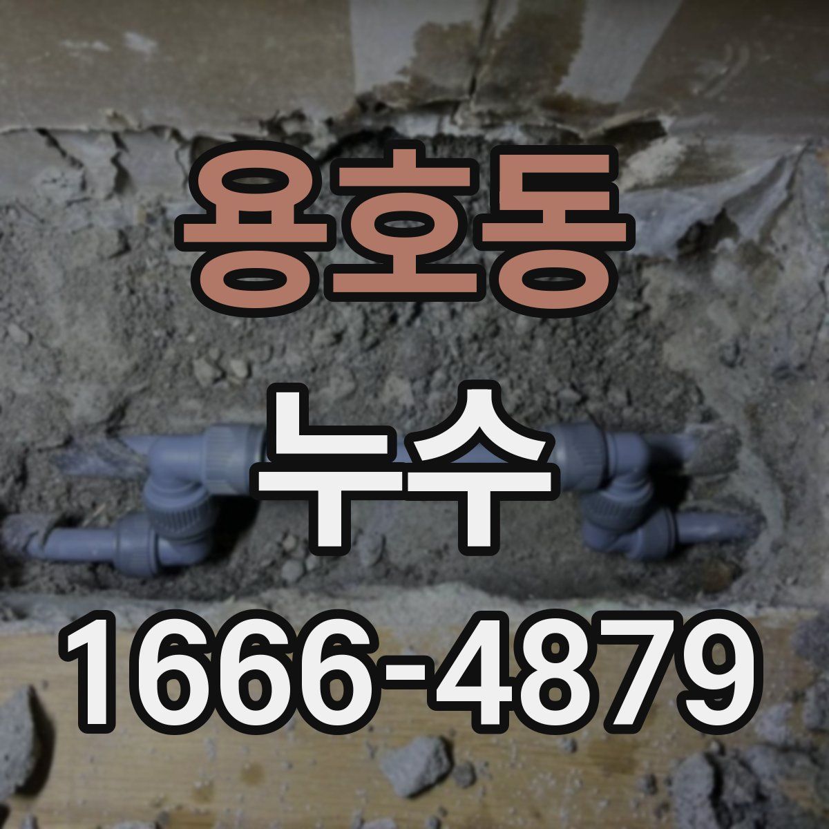 용호동 누수