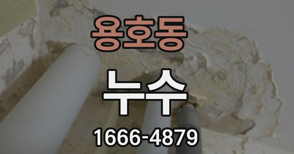 용호동 누수