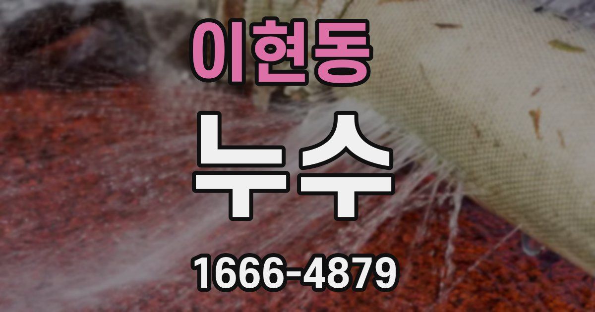 이현동 누수