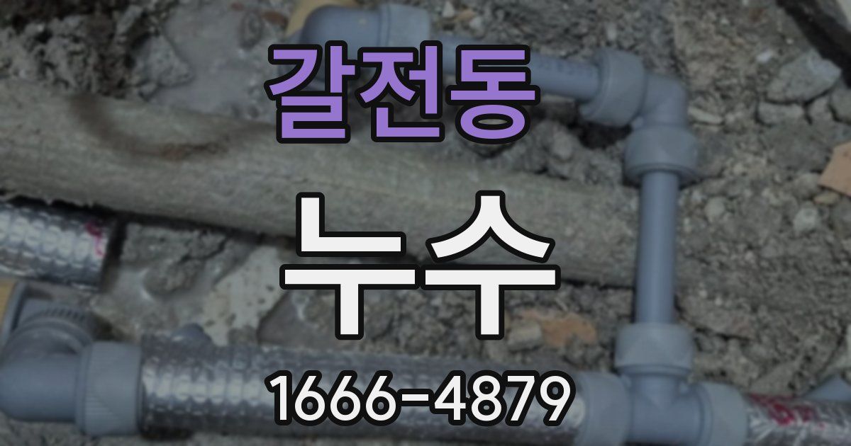 갈전동 누수