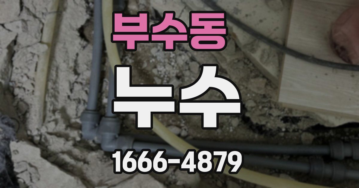부수동 누수