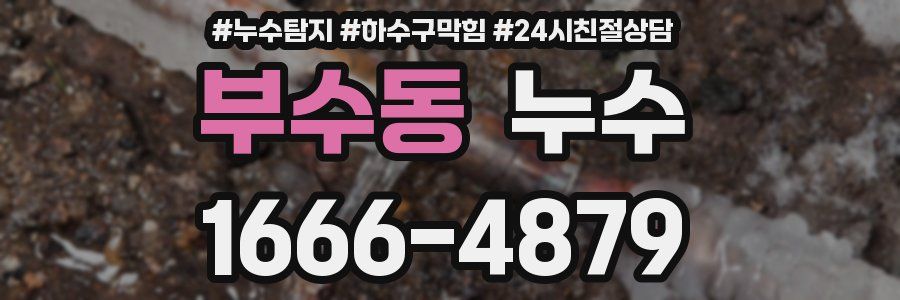 부수동 누수