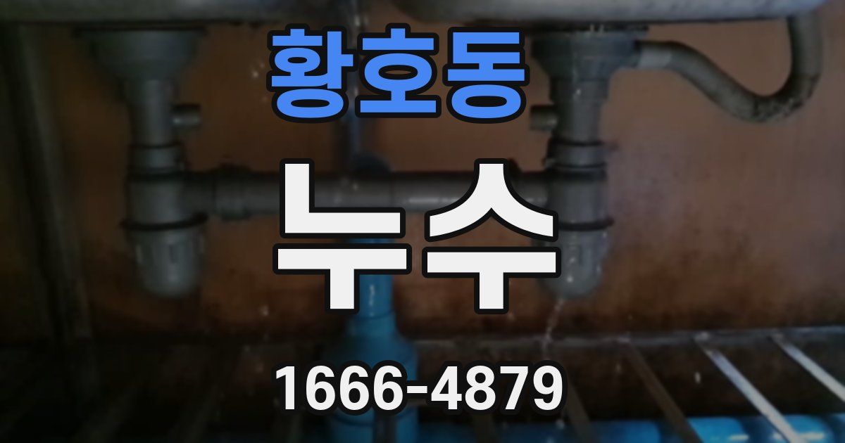 황호동 누수