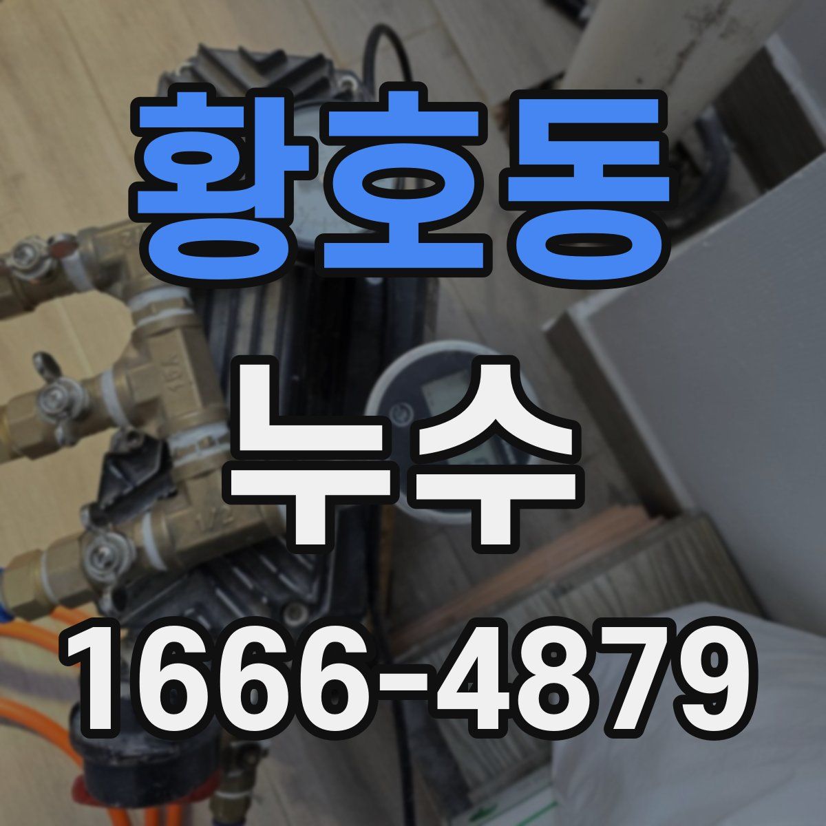 황호동 누수