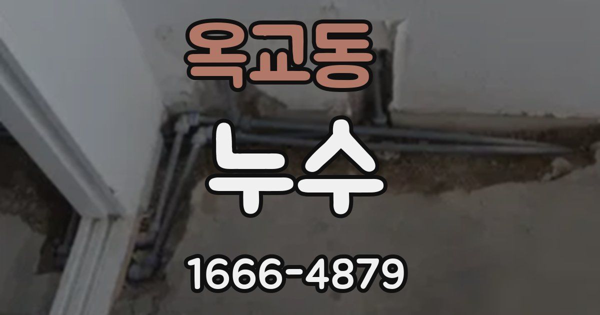 옥교동 누수