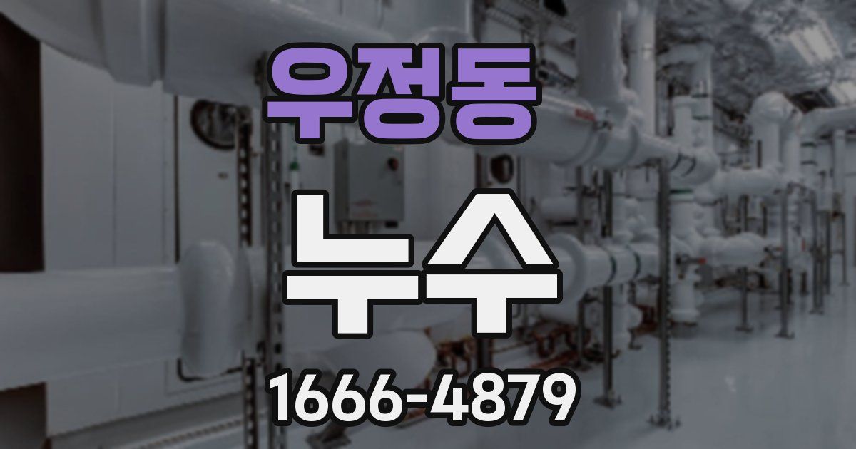 우정동 누수
