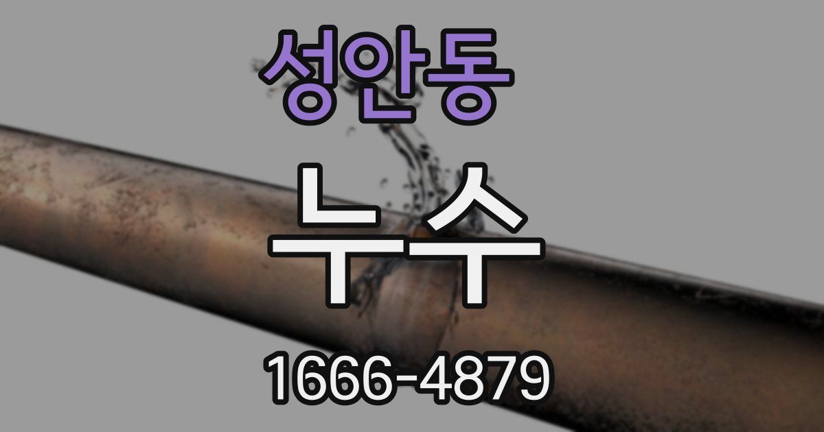 성안동 누수