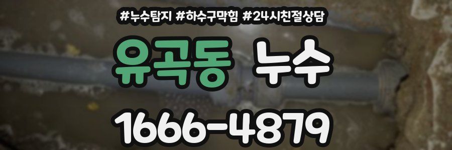 유곡동 누수