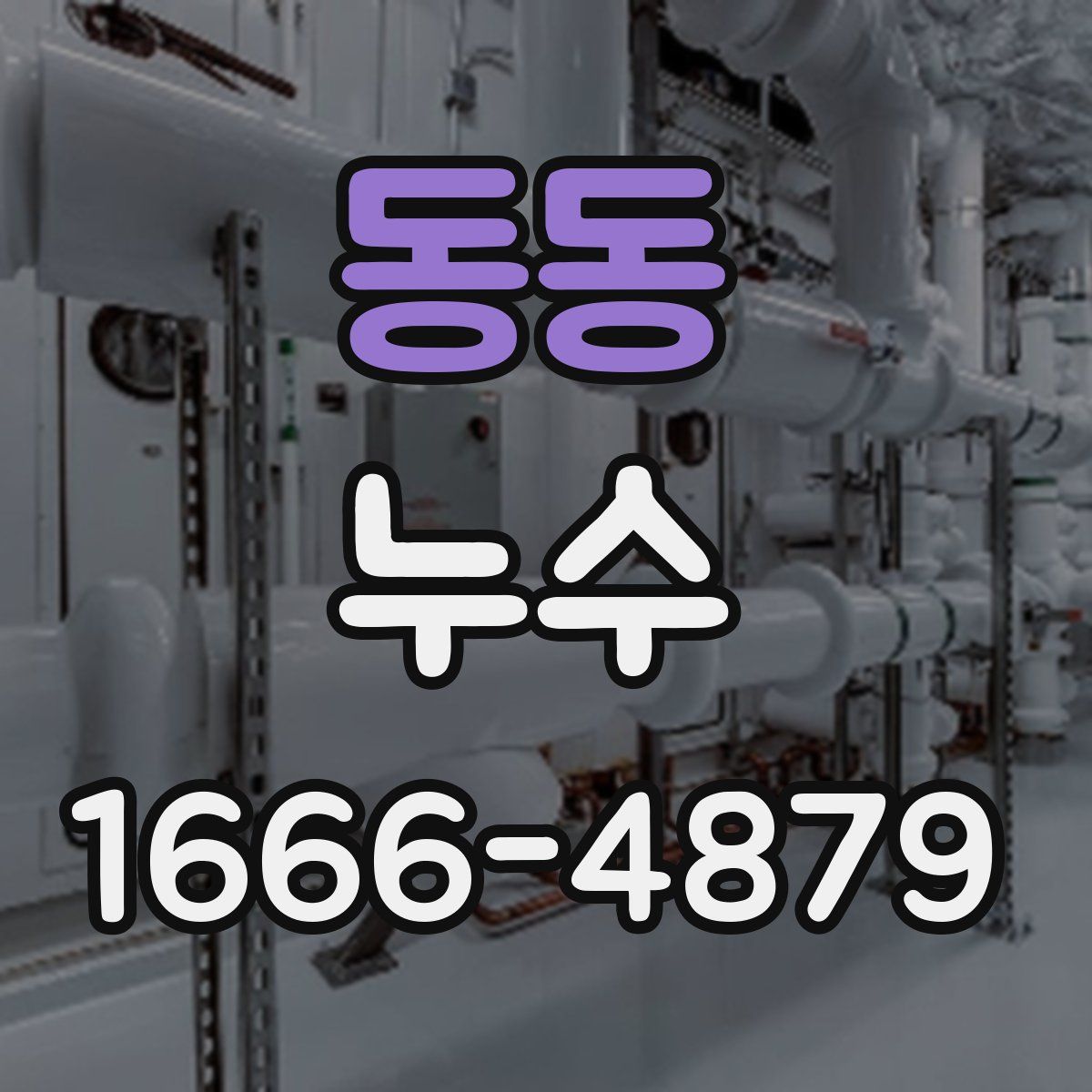 동동 누수