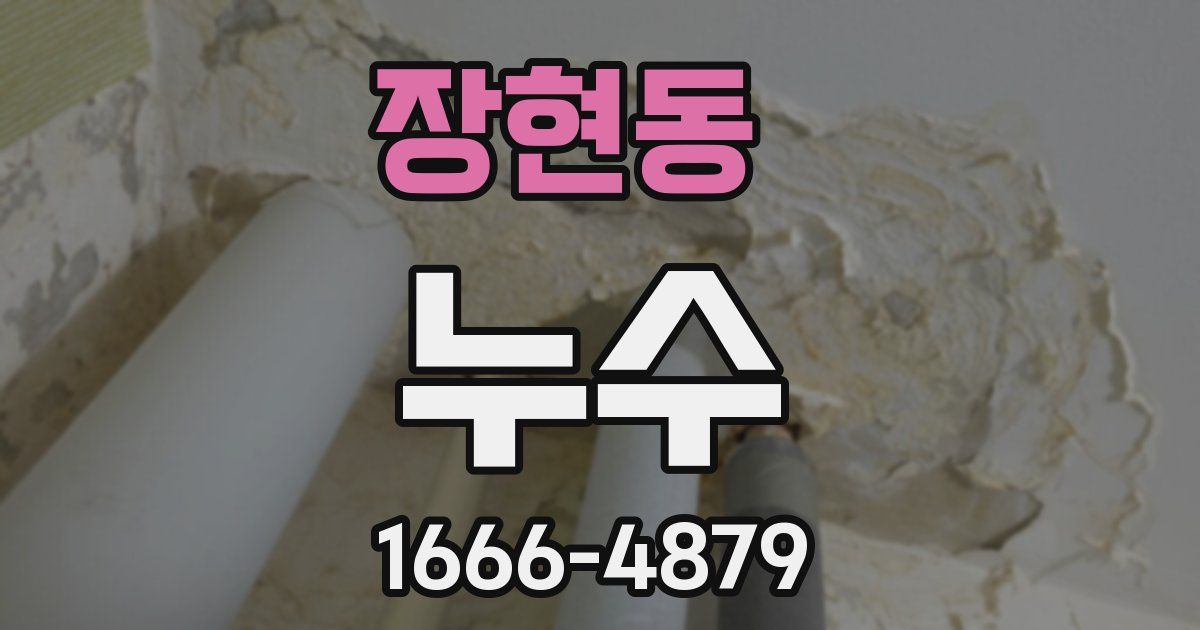 장현동 누수