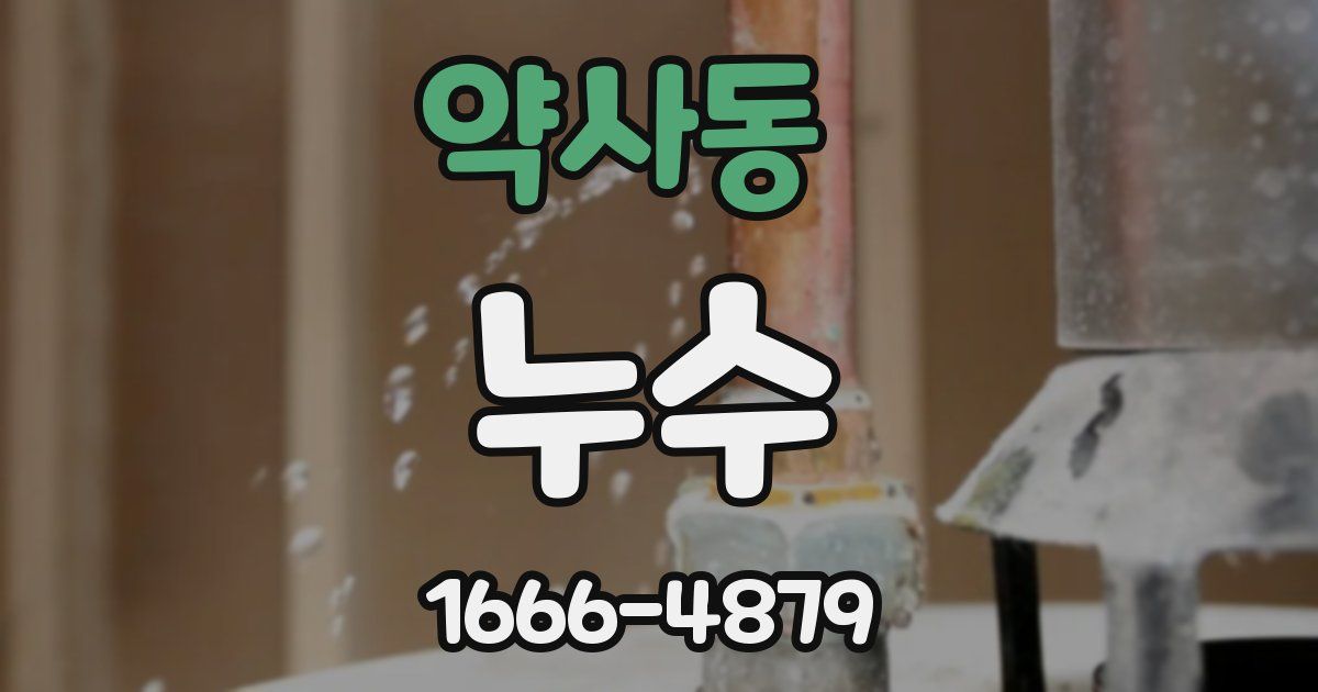 약사동 누수