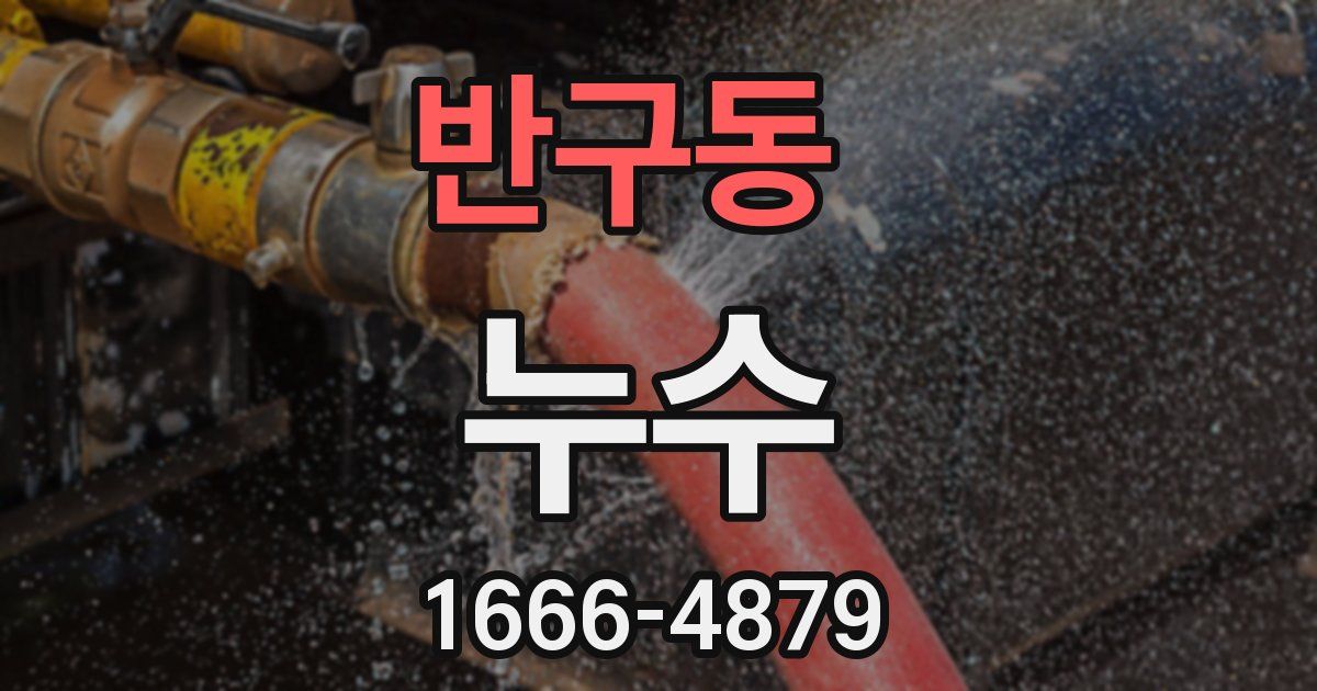반구동 누수