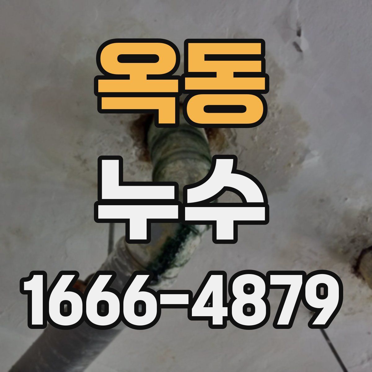 옥동 누수