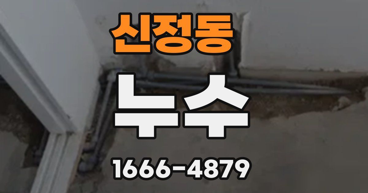 신정동 누수