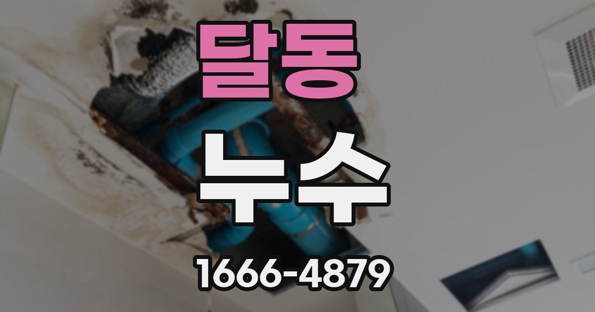 달동 누수