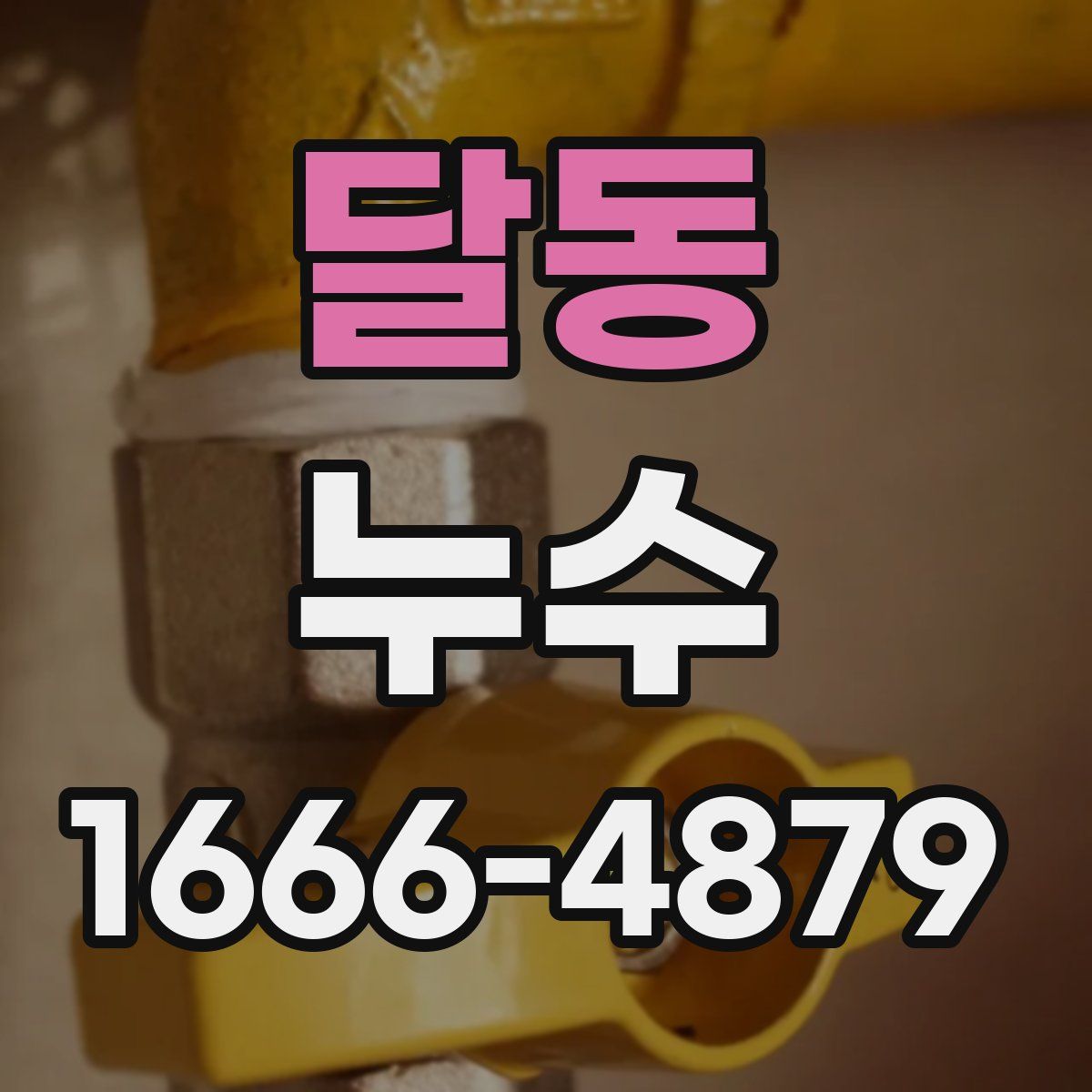 달동 누수