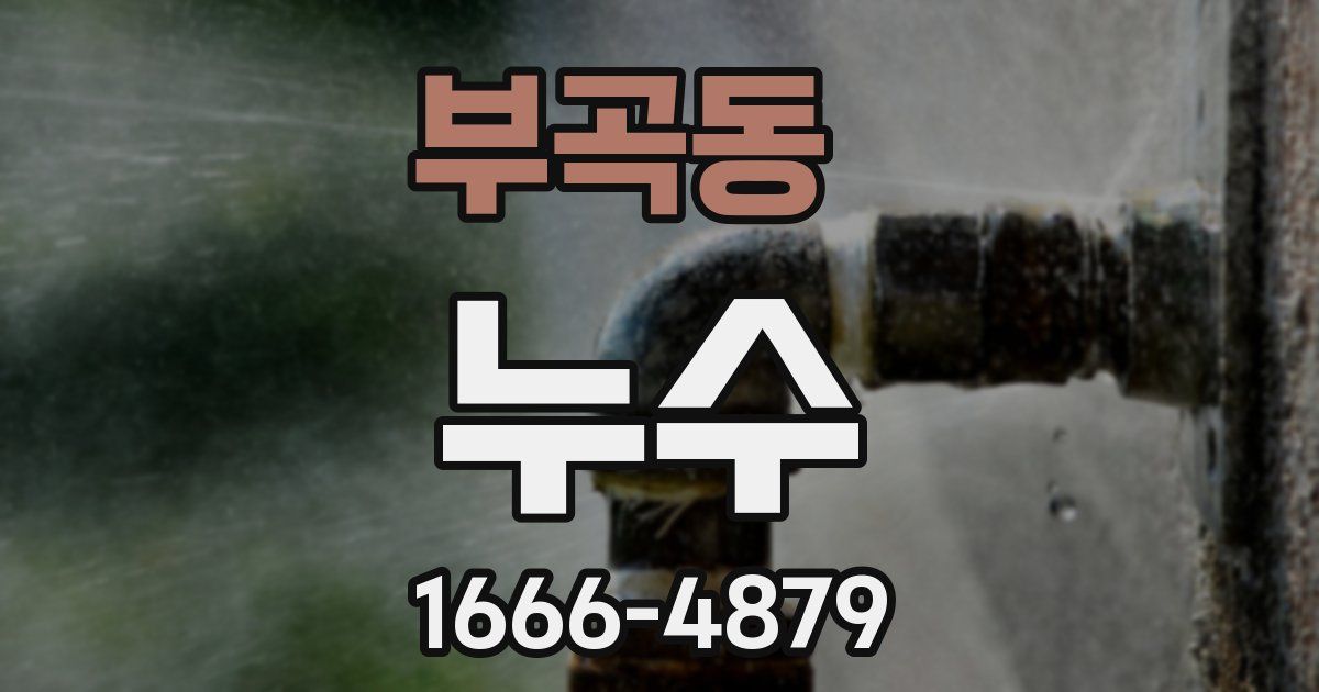 부곡동 누수