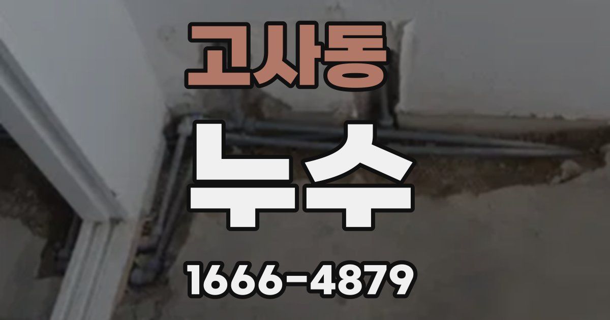 고사동 누수