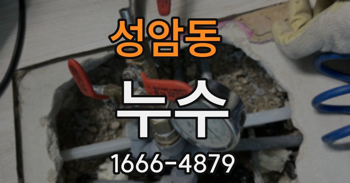 성암동 누수