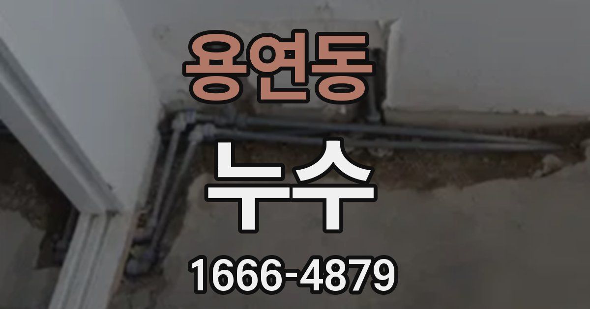 용연동 누수