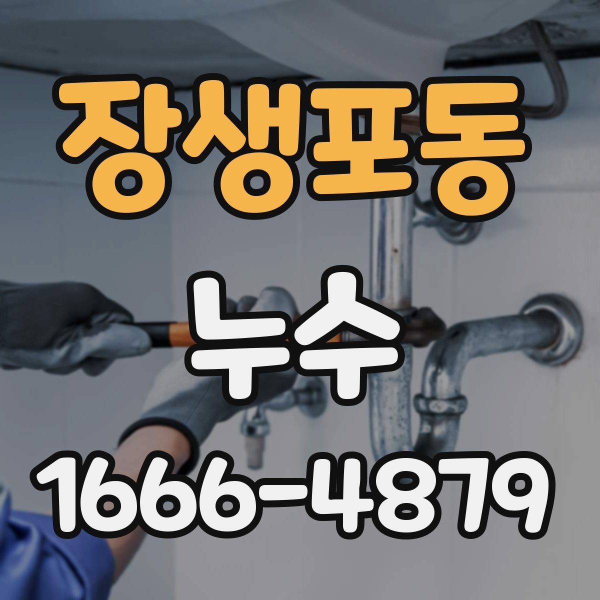 장생포동 누수