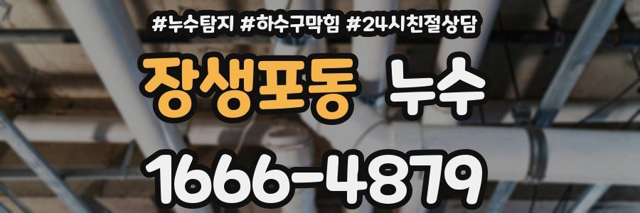 장생포동 누수