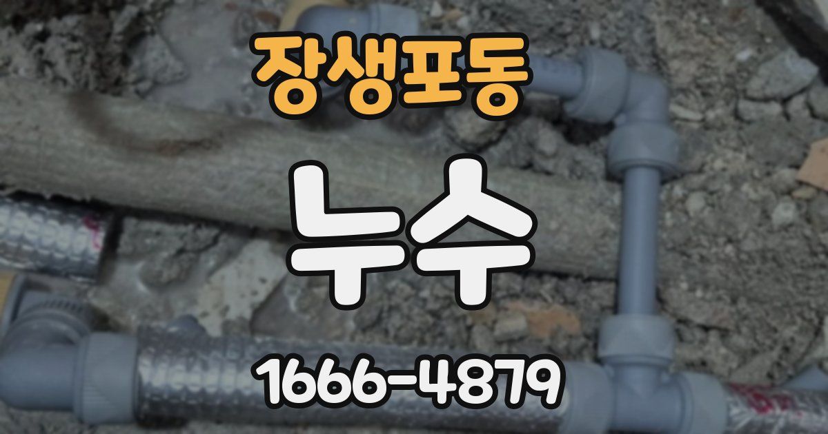 장생포동 누수