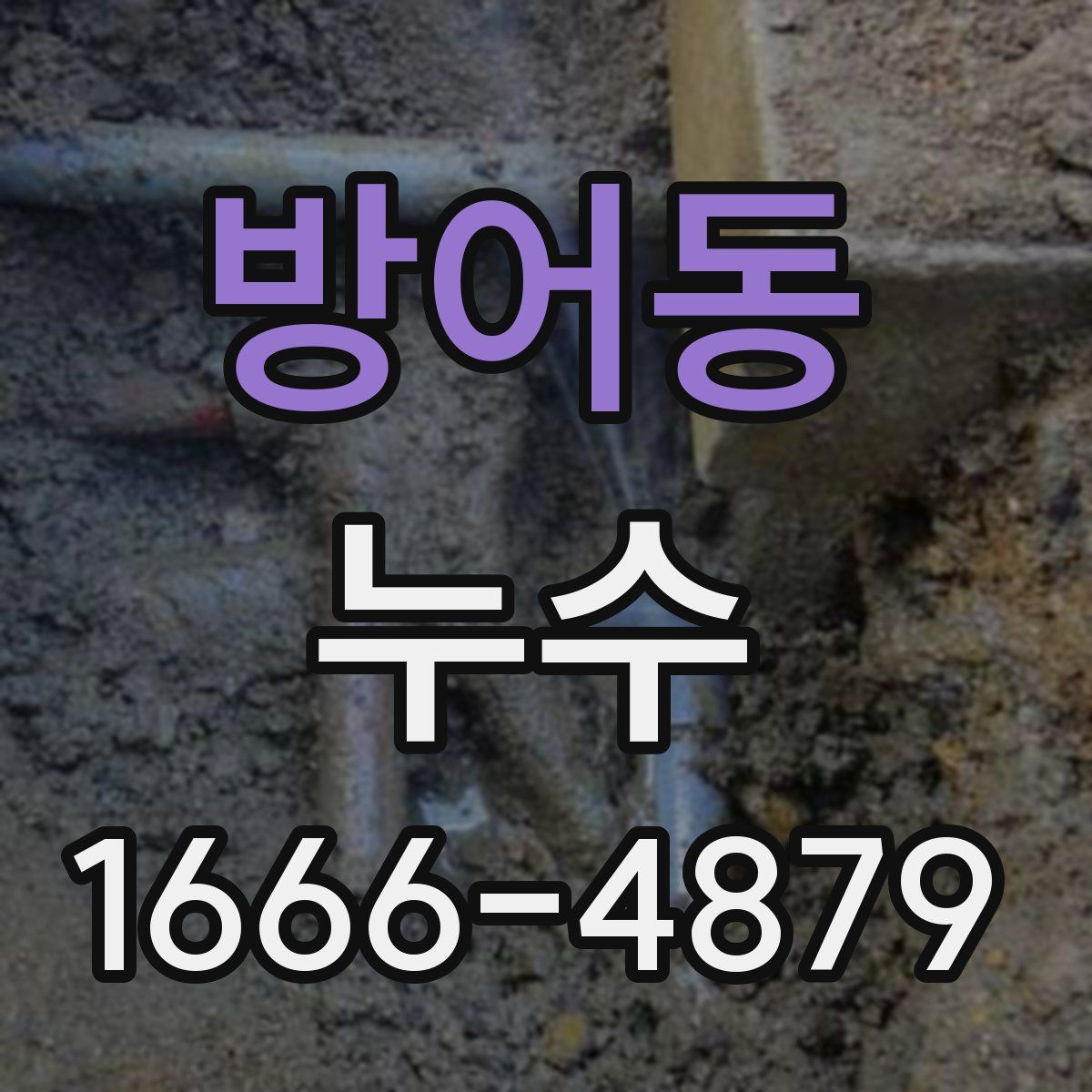 방어동 누수