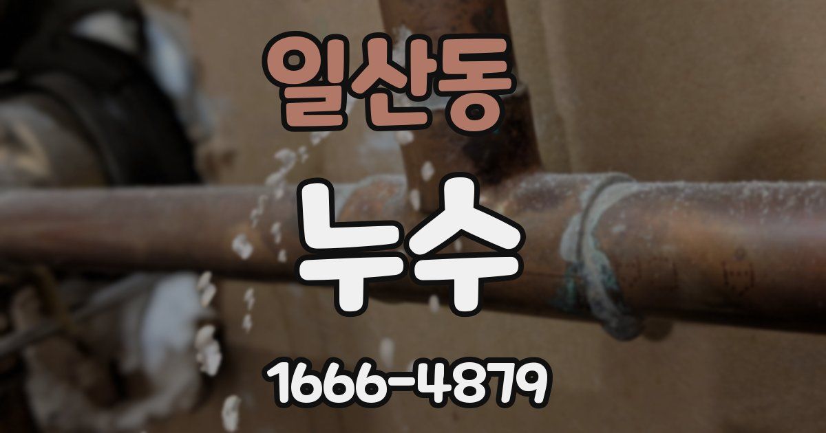 일산동 누수