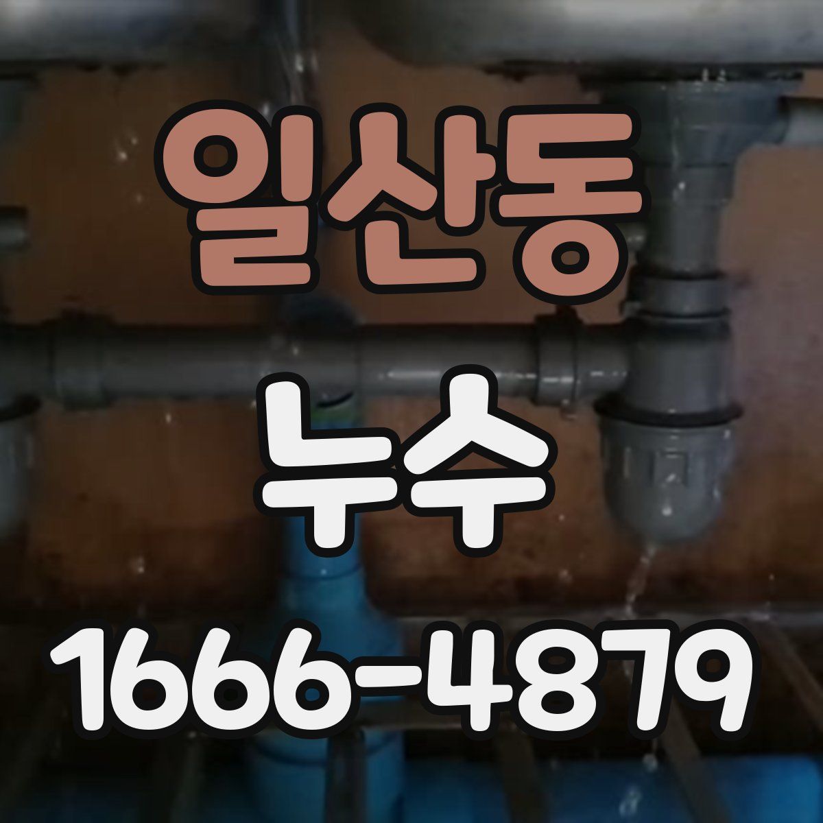 일산동 누수