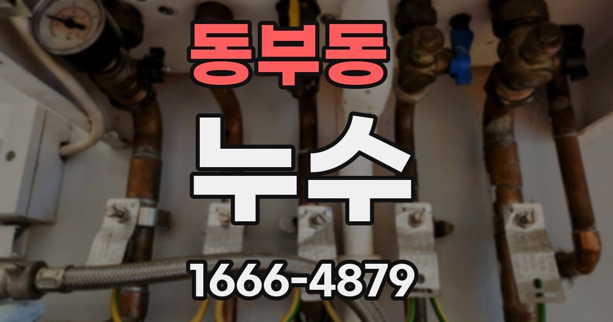 동부동 누수