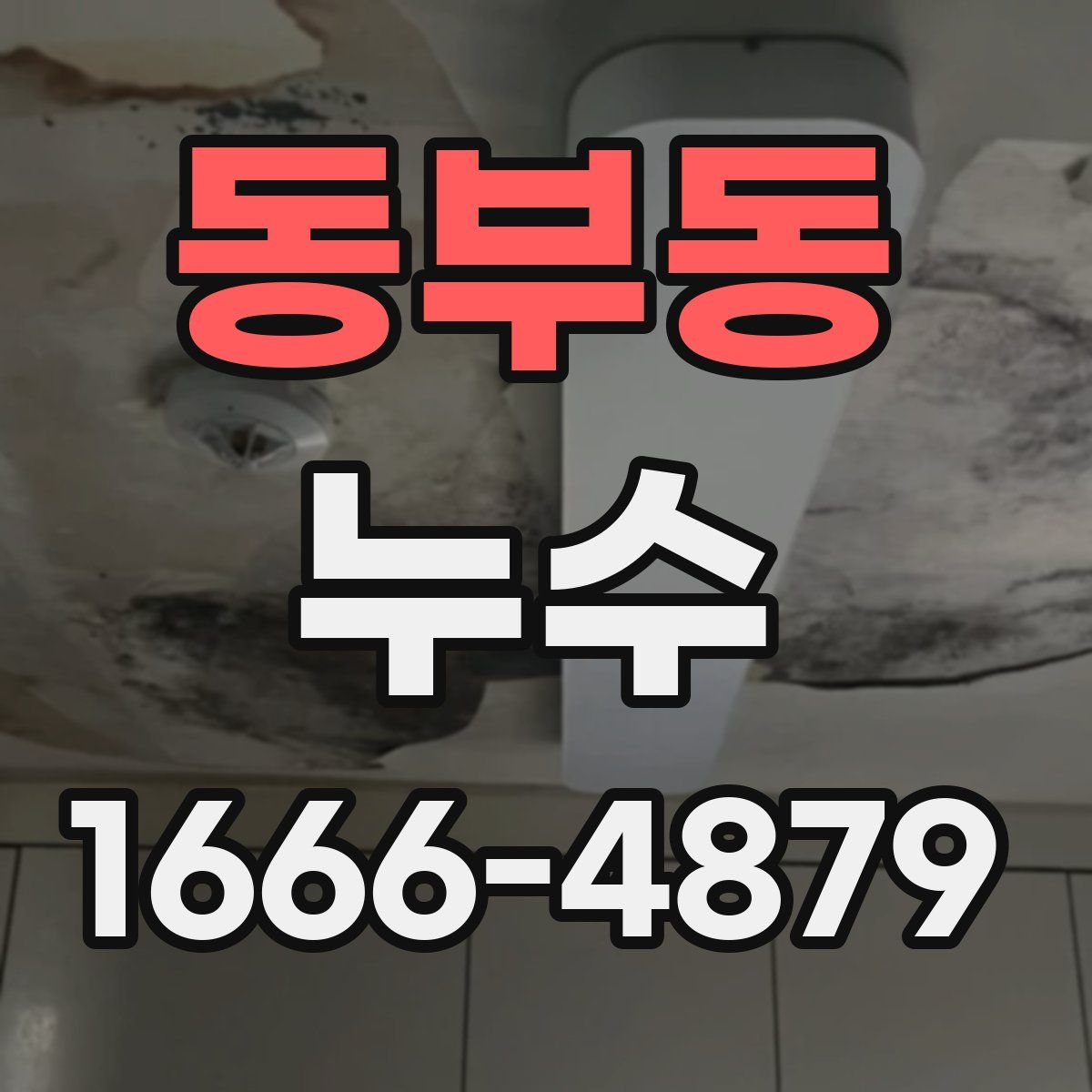 동부동 누수