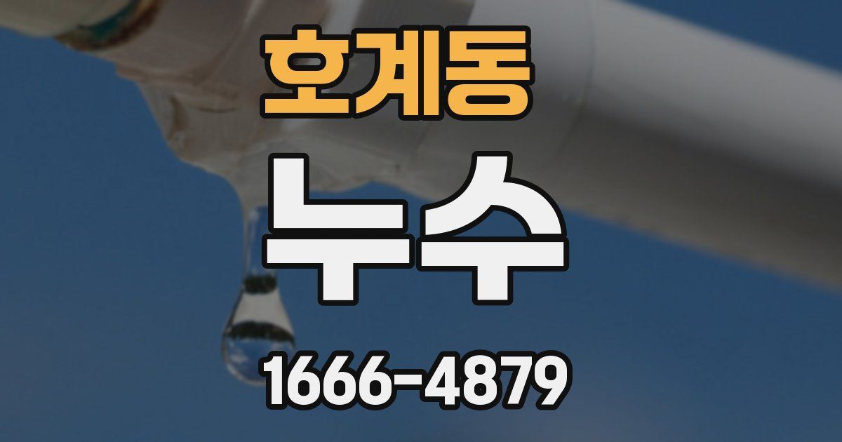 호계동 누수
