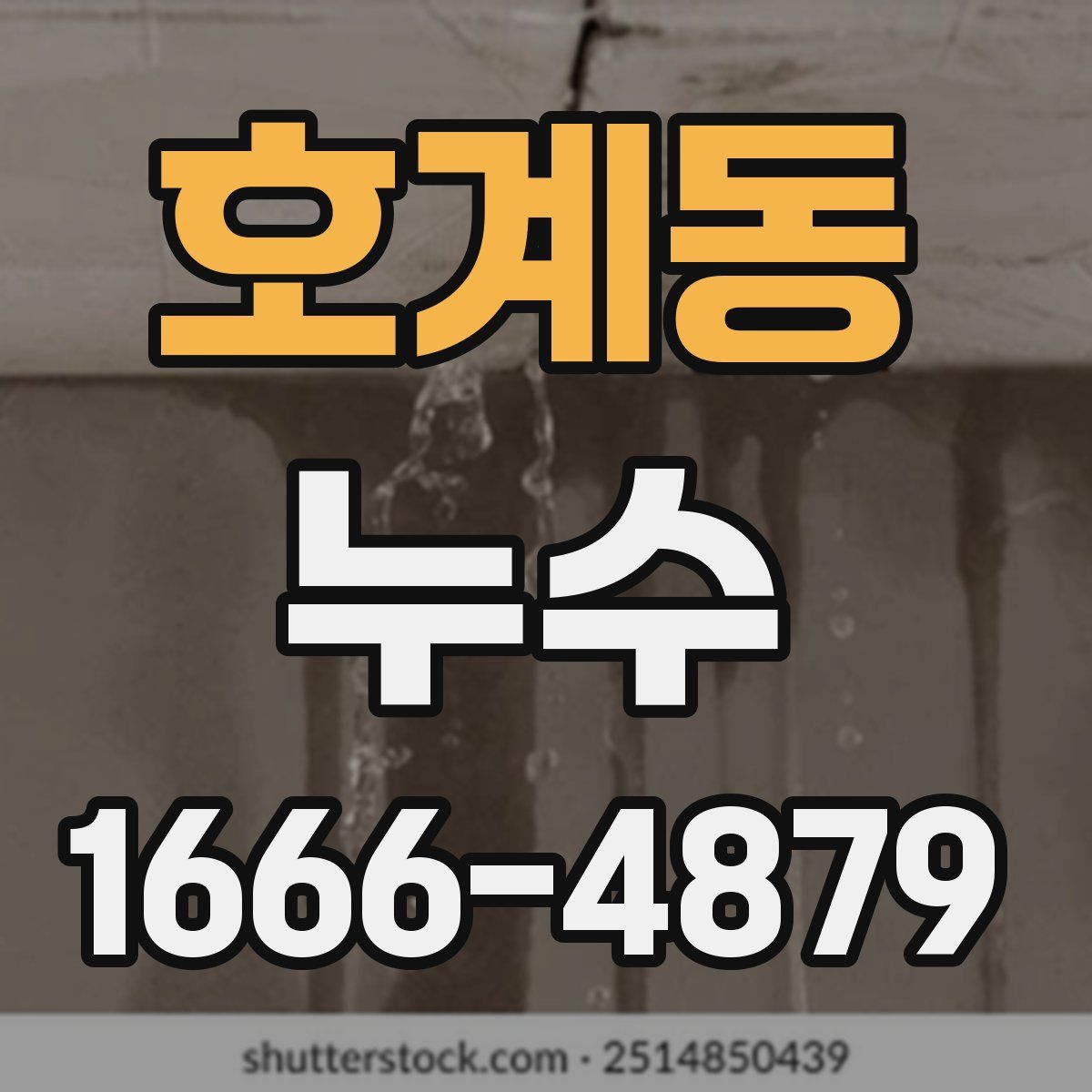 호계동 누수