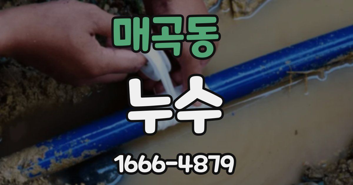 매곡동 누수