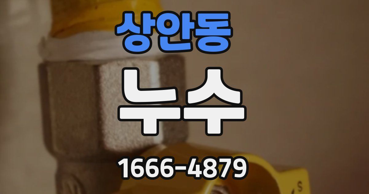 상안동 누수