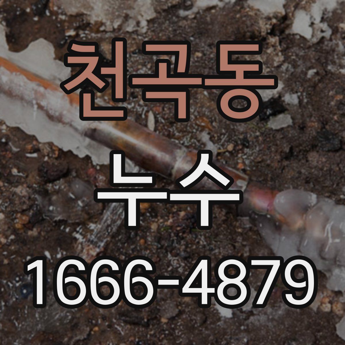 천곡동 누수