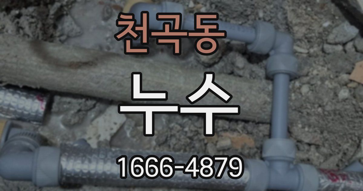 천곡동 누수