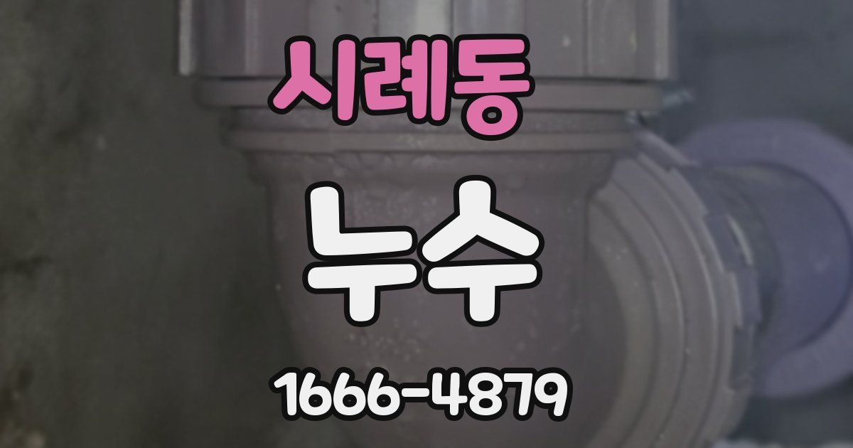 시례동 누수