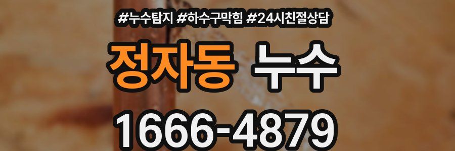 정자동 누수