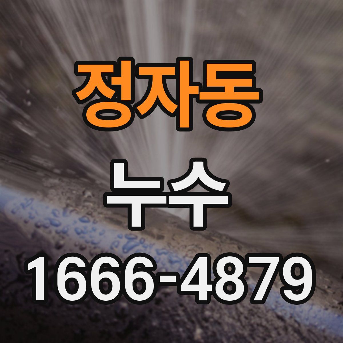 정자동 누수