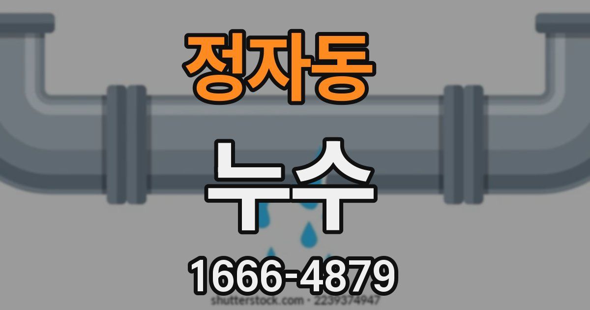 정자동 누수